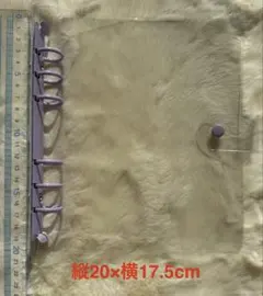 シール帳　透明リングバインダーリフィル付き【色選べる】