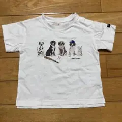 petit main 犬 半袖 Tシャツ 90