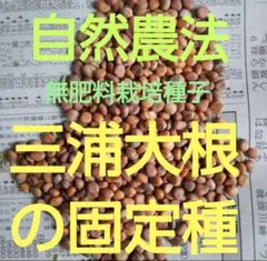 4217○山椒乾燥果皮125粒以上京都丹波産①送料込￥300［260614 