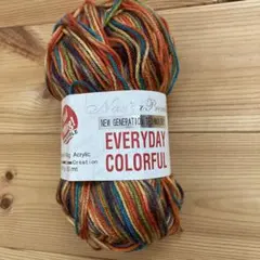Naska Premier EVERYDAY COLORFUL 毛糸