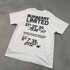 バーバリー　半袖Tシャツ　ロゴ ホワイト　L