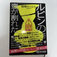 ルビンの壺が割れた 宿野かほる 新潮文庫