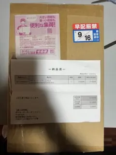 ヴァイス Fate stay night 中国版 簡体中文 1カートン - メルカリ