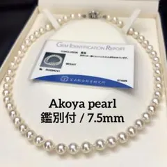 【鑑別付/2連/テリ強】あこや真珠 パール ネックレス 5.5-6mm 40g 鑑別付/2連/テリ強】あこや真珠 パール ネックレス 5.5-6mm 40g - メルカリ