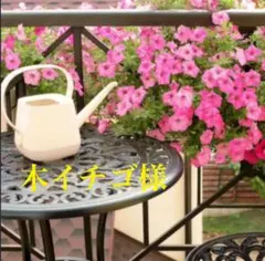 木イチゴ様　専用