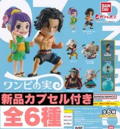 新品ワンピの実　第7海戦 全6種　コンプリートセット　カプセル付き