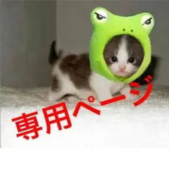 くみっきー様専用♡リピーター価格