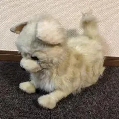 2025年最新】夢いぬ チワワ の人気アイテム - メルカリ