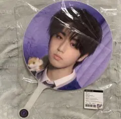 Straykids ハン magic school うちわ