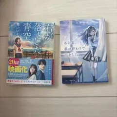 君が落とした青空 あの夏、夢の終わりで恋をした。