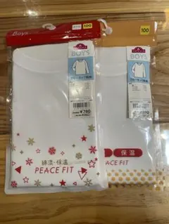 Item thumbnail for item 004781d7-0fb6-459d-9ba0-1f1028222989