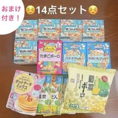 ✴︎ベビーフード・おやつ14点セット✴︎おまけ付き