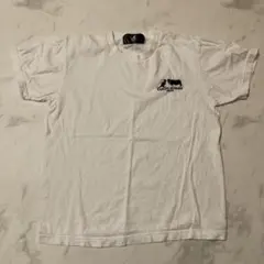 牛沢　KANGOL REWARD Tシャツ　Mサイズ