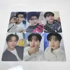 straykids チャンビン トレカ