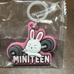 エスクプス MINITEEN めじるしアクセサリー ガチャガチャ カプセルトイ