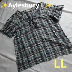 ✨Aylesbury✨チェック柄 チュニック✨半袖✨ブルー系✨LL✨のサムネイル
