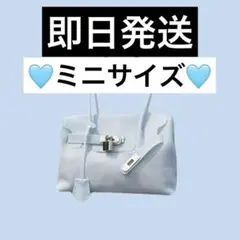 ミニサイズ ゼリーバッグ ライトブルー ゼリーバーキン - メルカリ