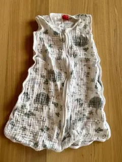 Item thumbnail for item 58b11fe0-e40e-4d51-8deb-eae57029d06b