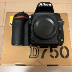 シャッター数約1万】Nikon D7500 ＋ SIGMA ズーム2本セット - メルカリ