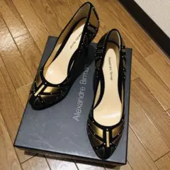 Alexandre Birman パンプスのサムネイル