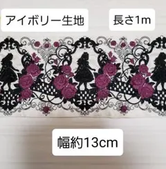 インド刺繍リボン 太幅 アリス シルエット 1m