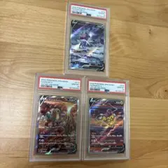 【PSA10 連番】エンテイV スイクンV ライコウV SAR Vユニ 三犬