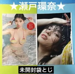瀬戸環奈さん週刊プレイボーイ付録 袋とじ2冊セット