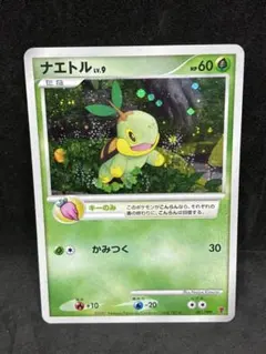 ポケモンカード ナエトル 001/PPP プレイヤーズ プロモ 2007 - メルカリ