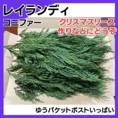 レイランディ コニファー カット枝 リース スワッグのサムネイル