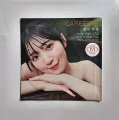 豊田萌絵 【CAREFREE】DVD 38分 週刊プレイボーイ 特別付録