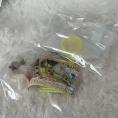 シルバニアファミリー ガチャガチャ 赤ちゃんハウスとお庭＆お風呂の思い出