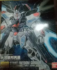 MGストライクフリーダム大河原邦男ver MGストライクフリーダムガンダム メカニックデザイナー大河原