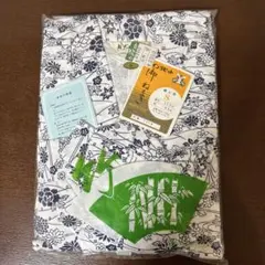 Item thumbnail for item 709118d1-8047-4609-9683-357600283678