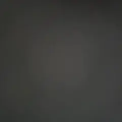 専用