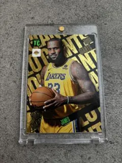 NBAカード LeBron James トレーディングカード 23号