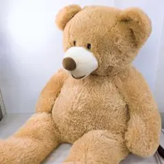 クマぬいぐるみ　Costco