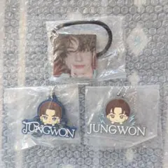 ENHYPENガチャ ラバーマスコット ジョンウォン キーホルダー　ヘアゴム