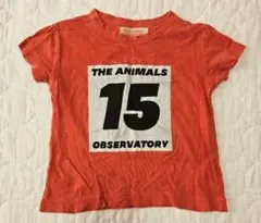 THE ANIMALS OBSERVATORY Tシャツ サイズ3のサムネイル