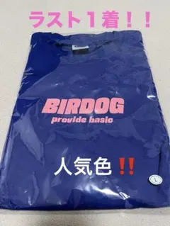 Item thumbnail for item 8f6071f1-6500-466a-802e-bb34d30ac103