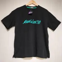 Item thumbnail for item 25d74450-dfc0-4ce8-85e2-6b2b86b75a48