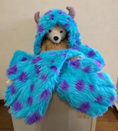 Disney モンスターズインク サリー ファンキャップ 手袋 マフラー