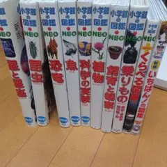 小学館の図鑑NEO 9冊セット DVD付き 鳥　花　昆虫　植物　両生類 小学館の図鑑NEO 9冊セット DVD付き 鳥 花 昆虫 植物 両生類 - メルカリ