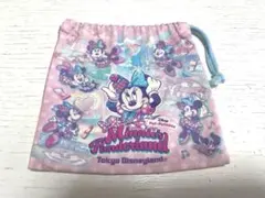 ♡ディズニーランド/ファンダーランド/ミニー/2024/巾着/限定品/送料込み♡