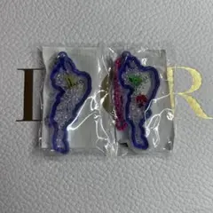 琵琶湖キーホルダー 2個セット