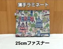 ハンドメイド 薄手ラミネート ポーチ キャスキッドソン生地 ロンドンビュー柄