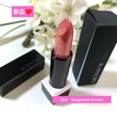 【新品】カネボウ NルージュEX4　Tangerine Dream♥