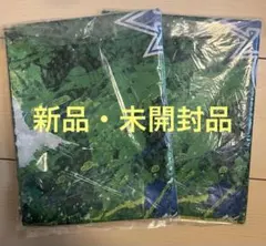 湘南ベルマーレ 新潟戦 入場者プレゼント 来場者特典 新品 未開封品