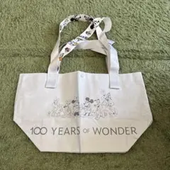 【新品】香港ディズニー限定　ディズニーフレンズ ショッピングバッグエコバッグS