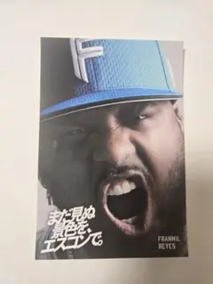 ファイターズ ステッカー 応援グッズ