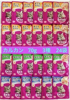 Item thumbnail for item 76b9ce5f-bcef-4ab3-bc70-ddbde08c7dca